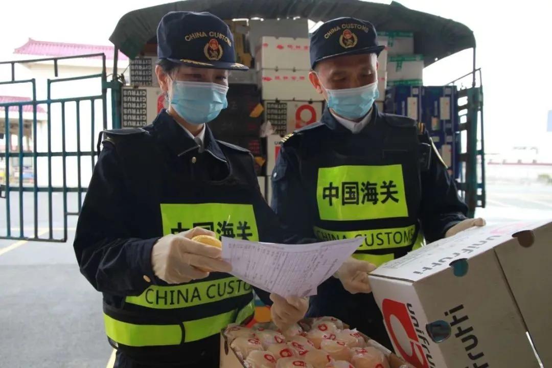 澳門彩票開獎結(jié)果快速揭曉，探索最新開獎動態(tài)與中獎秘籍，澳門彩票最新開獎結(jié)果及中獎秘籍探索