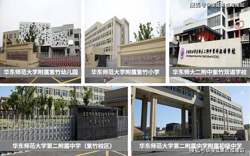 新奧門特資料49圖庫，深度解析與探索，新奧門特資料49圖庫，深度探索與解析