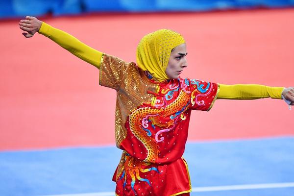 揭秘504王中王一肖，背后的故事與傳奇，揭秘王中王一肖傳奇，背后的故事與神秘面紗