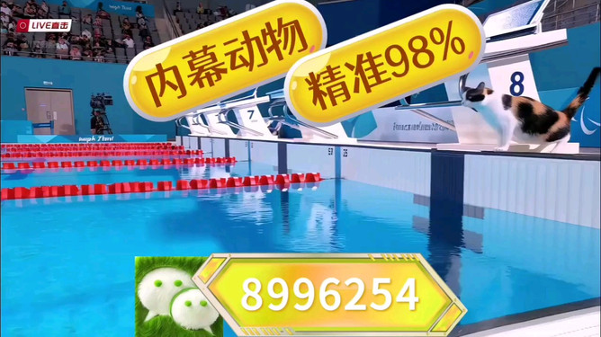 王中王特馬中心一肖囹，探索與解析，王中王特馬中心一肖囹，深度探索與解析