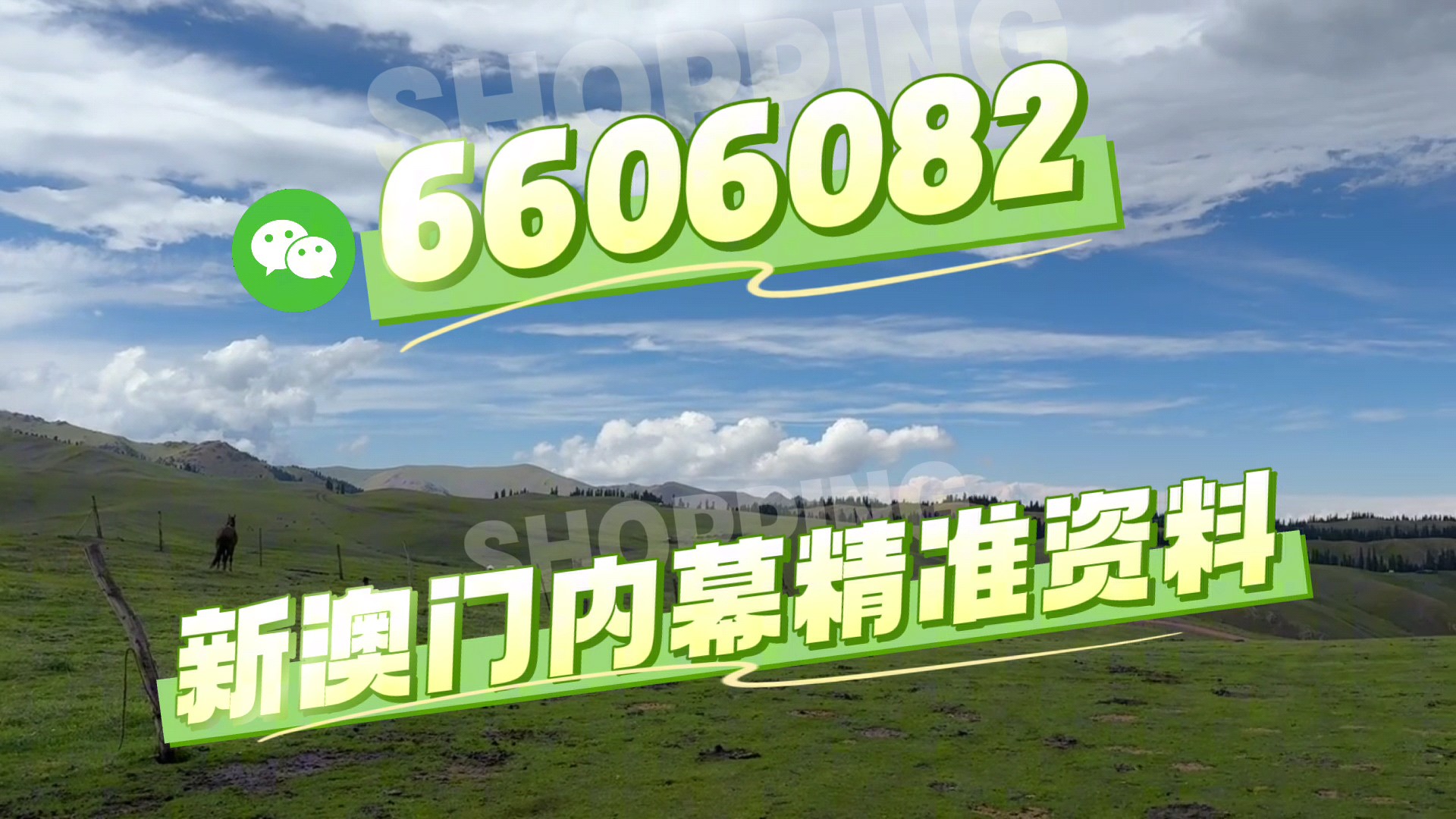 澳門(mén)今晚必開(kāi)一肖一特，揭秘生肖彩票的魅力與策略，澳門(mén)生肖彩票揭秘，必開(kāi)一肖一特的魅力與策略探討
