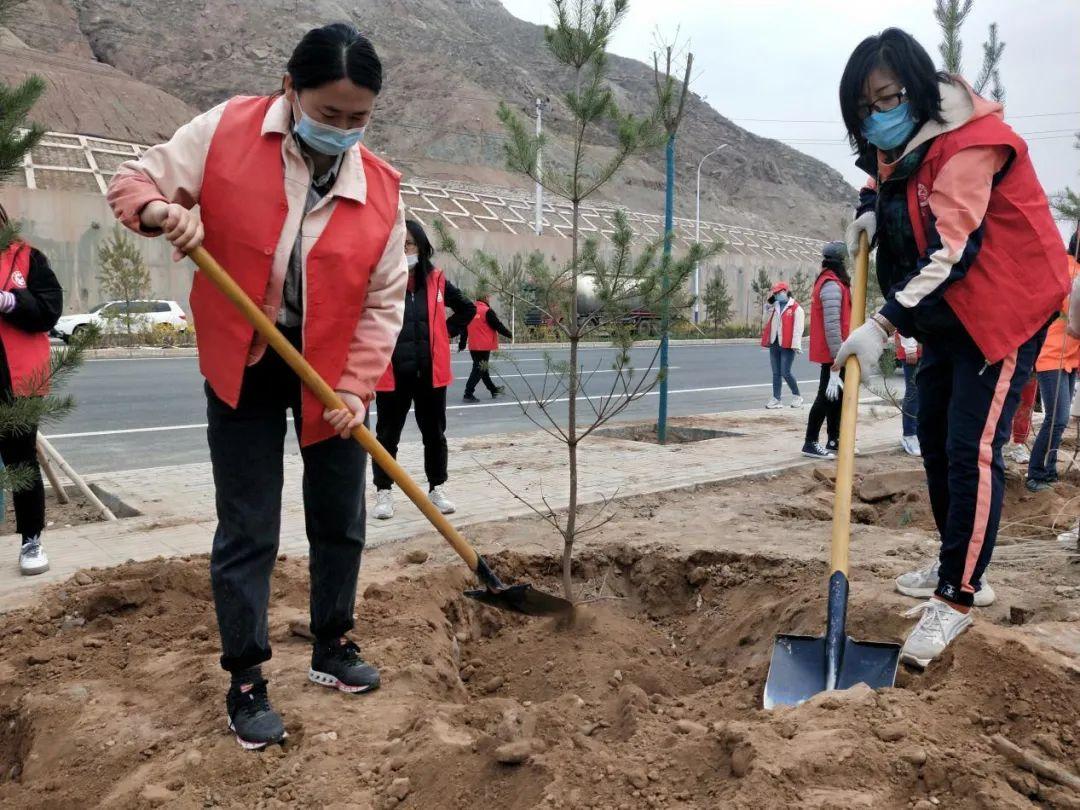 天下彩天天空彩資料免費(fèi)大全管家，探索與解析，天下彩天天空彩資料大全管家，深度探索與解析