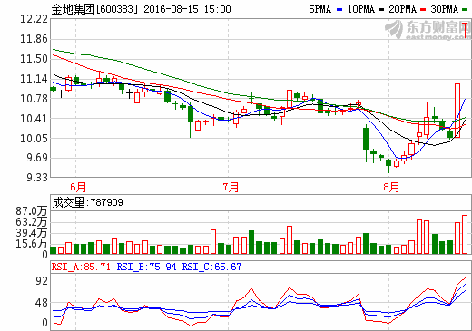 關(guān)于600383的最新消息全面解析，600383最新消息全面解析