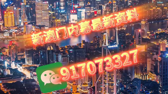 澳門今晚必開一肖——揭秘生肖彩票的魅力與策略，澳門生肖彩票揭秘，策略與魅力探索