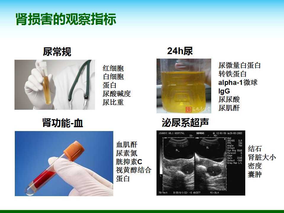 尿酸水平升高與腎臟健康，尿酸460是否意味著腎臟已經(jīng)受損？，尿酸水平升高與腎臟健康關(guān)系解析，尿酸460是否預(yù)示腎臟受損？