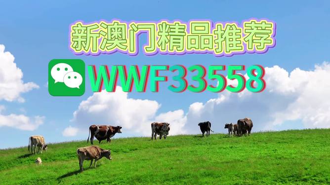 揭秘今晚9點(diǎn)30生肖運(yùn)勢(shì)，你的生肖運(yùn)勢(shì)如何？，揭秘今晚9點(diǎn)30生肖運(yùn)勢(shì)，你的生肖運(yùn)勢(shì)走向如何？