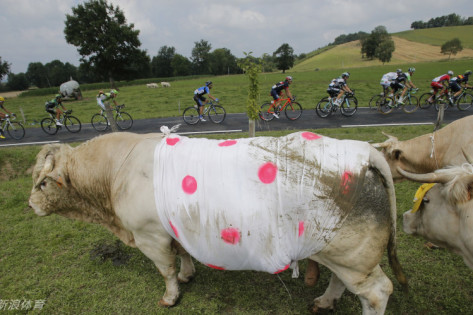 王中王三肖一碼免費公開，揭秘背后的秘密與真相，揭秘王中王三肖一碼，真相與背后的秘密免費公開揭露