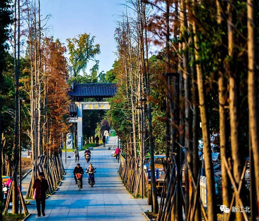 劉伯溫騎馬打一生肖，傳奇故事與生肖運(yùn)勢(shì)解讀，劉伯溫傳奇故事與生肖運(yùn)勢(shì)解讀，騎馬打一生肖的奧秘