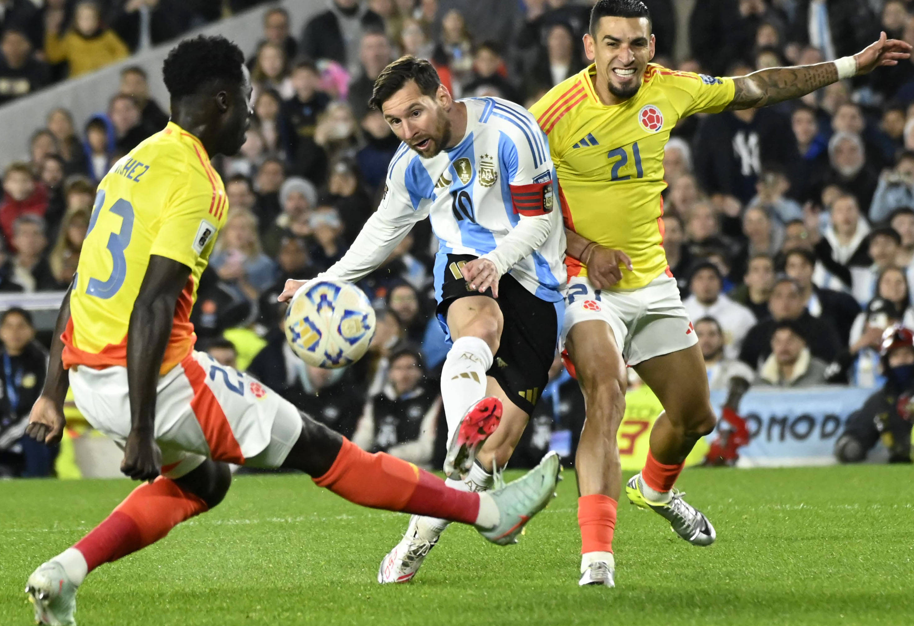 王中王077期一肖特種，深度解析與SEO優(yōu)化策略，王中王077期生肖特種深度解析與SEO優(yōu)化策略探討