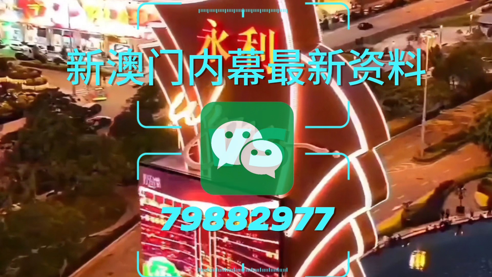 新澳門一肖一特一中，探索與解析，新澳門一肖一特一中，深度探索與解析