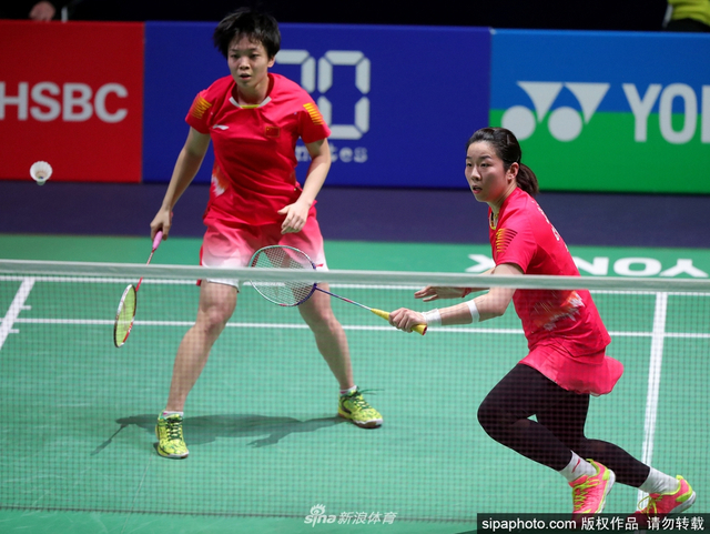 揭秘劉伯溫930四肖選一肖的神秘面紗，劉伯溫四肖選一肖的神秘面紗揭秘