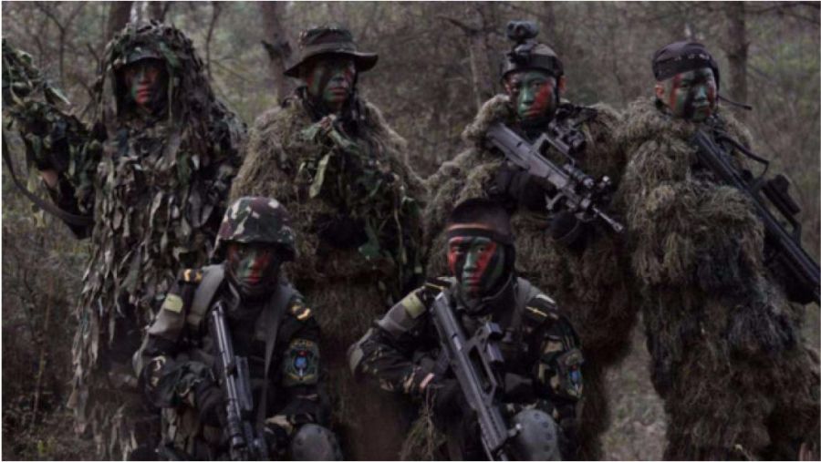 揭秘龍焱特種部隊(duì)曝光原因，榮耀與使命的雙重驅(qū)動，揭秘龍焱特種部隊(duì)曝光原因，榮耀與使命的雙重驅(qū)動下的力量展現(xiàn)