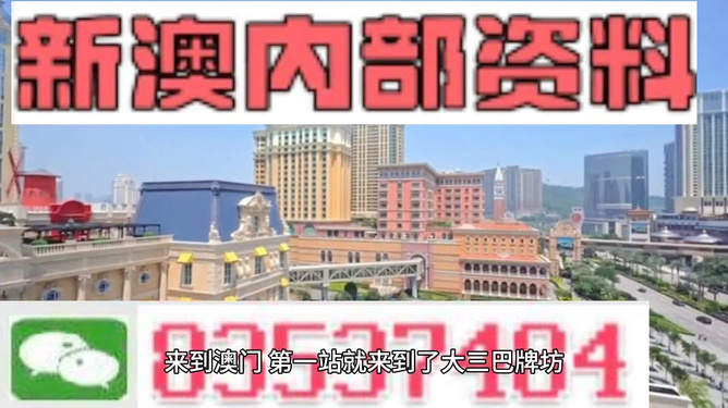 新澳新澳門正版資料，探索與解析，新澳新澳門正版資料深度解析與探索