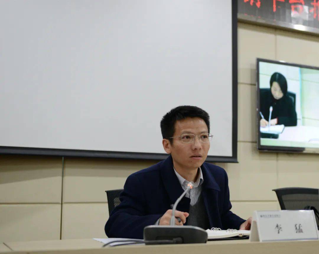 正版王中王一肖平碼圖——深度解析與探索，正版王中王一肖平碼圖深度探索與解析