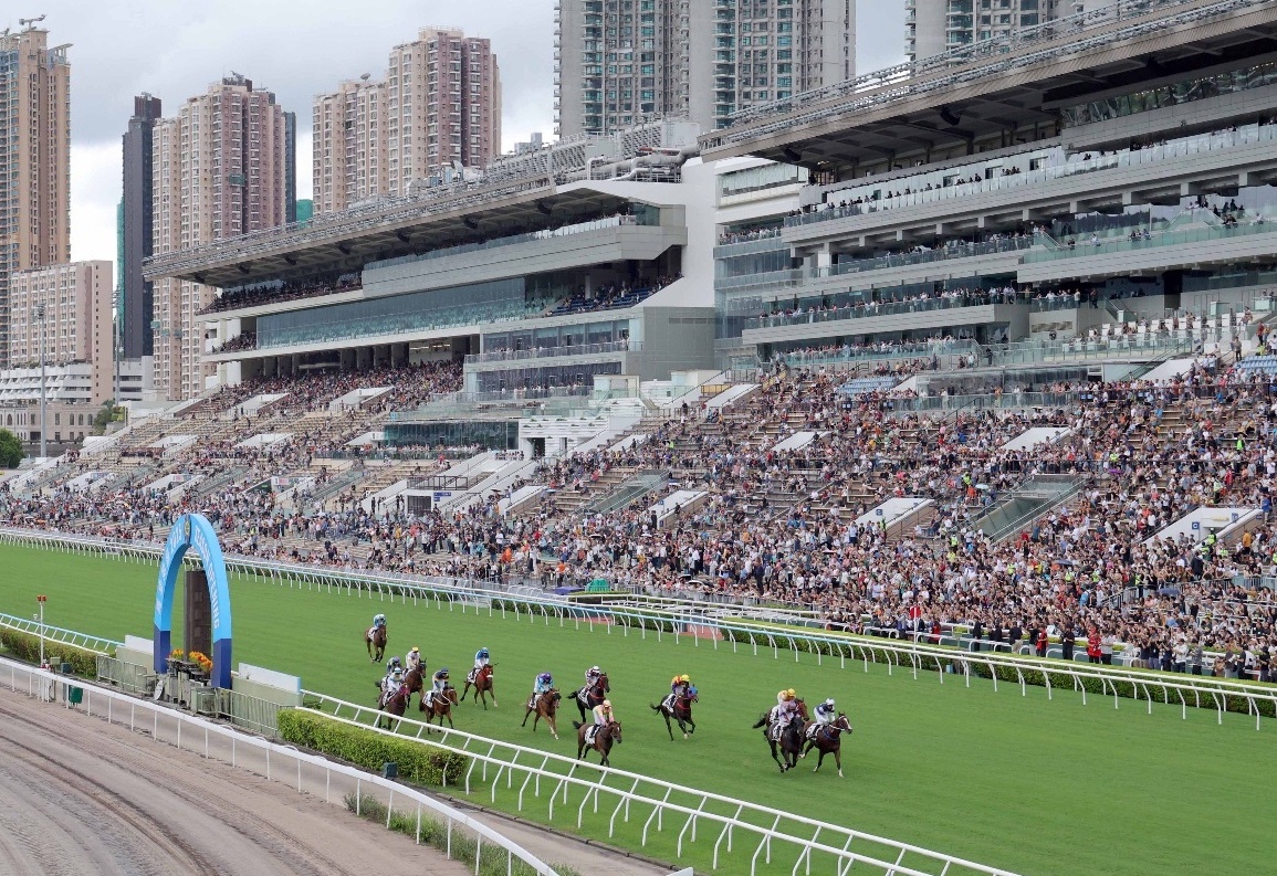 關(guān)于香港今晚即將開啟的特馬盛宴，一場未來的盛宴與期待，香港特馬盛宴啟幕，未來盛宴的期待與狂歡
