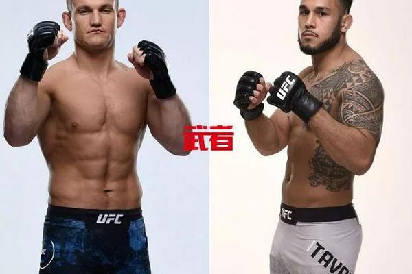 澳門(mén)六開(kāi)獎(jiǎng)結(jié)果記錄圖，探索彩票背后的秘密，澳門(mén)六開(kāi)獎(jiǎng)結(jié)果記錄圖揭秘彩票背后的秘密