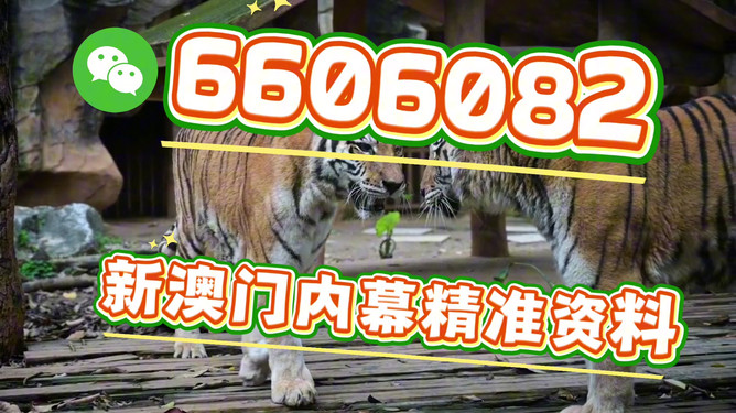 澳門今晚必開一肖一特，揭秘生肖彩票的魅力與策略，澳門生肖彩票揭秘，必開一肖一特的魅力與策略